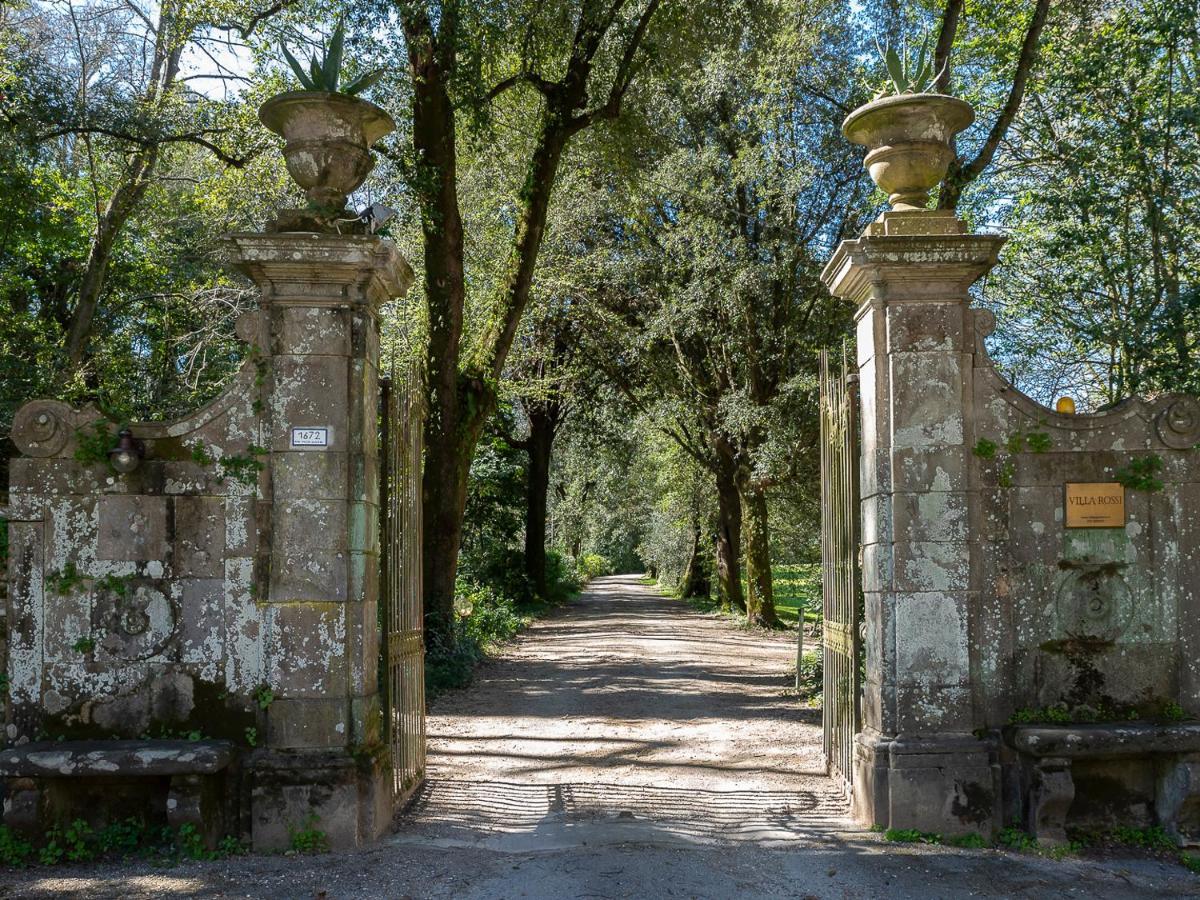 New! La Stanza In Villa Lucca Exterior foto